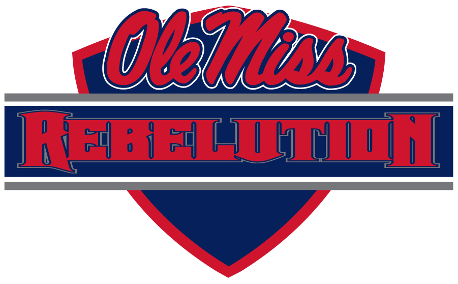 Mississippi Rebels 2010-2011 Wordmark Logo t shirts iron on transfers